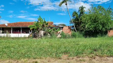 Lotes à venda em Charqueada com frente para área verde